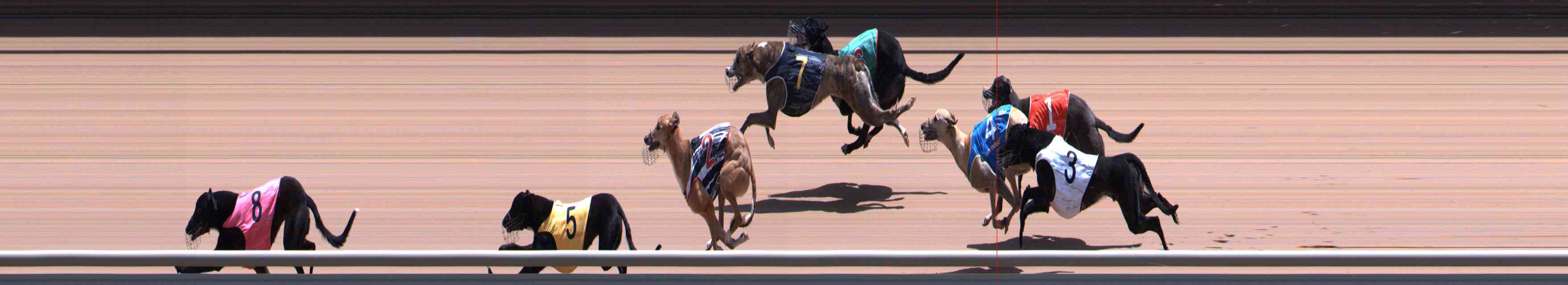 Race result finish photo